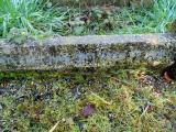 image of grave number 476897